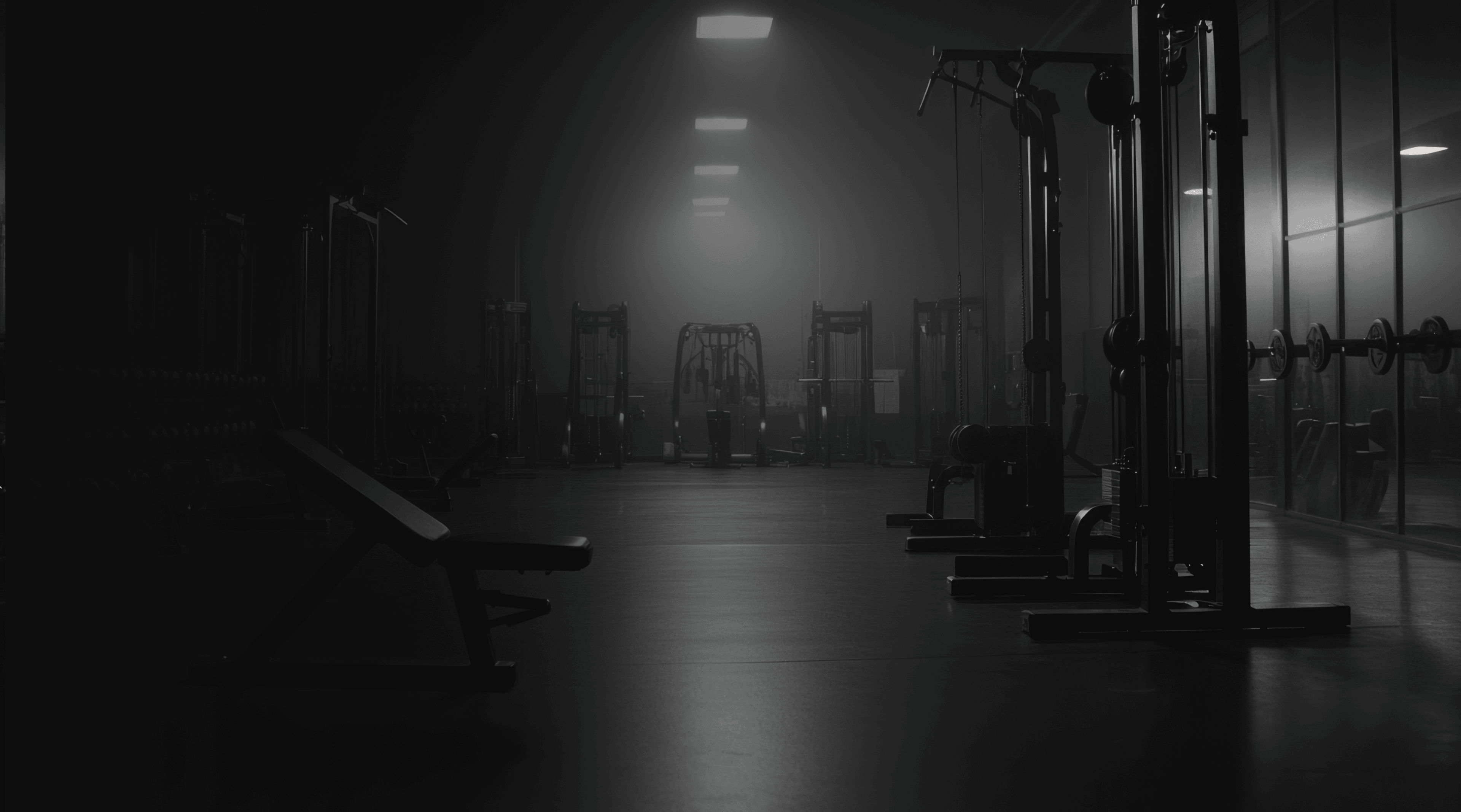 zontrix background