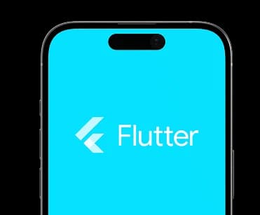 Flutter App Development