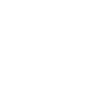 Custom Solutions