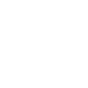 Expert Team
