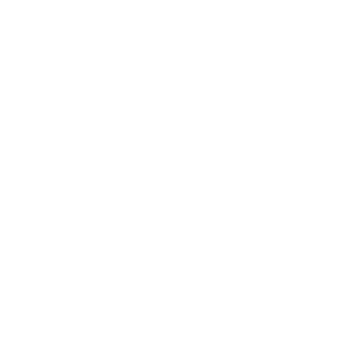 Competitive Pricing