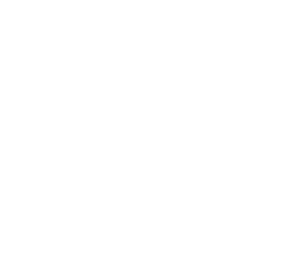 Custom Dating App Development