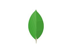 MongoDB
