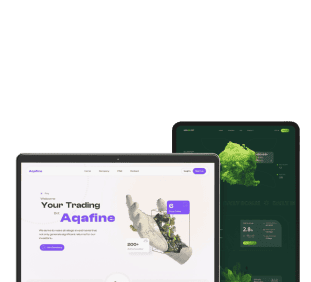 Backend & API Development